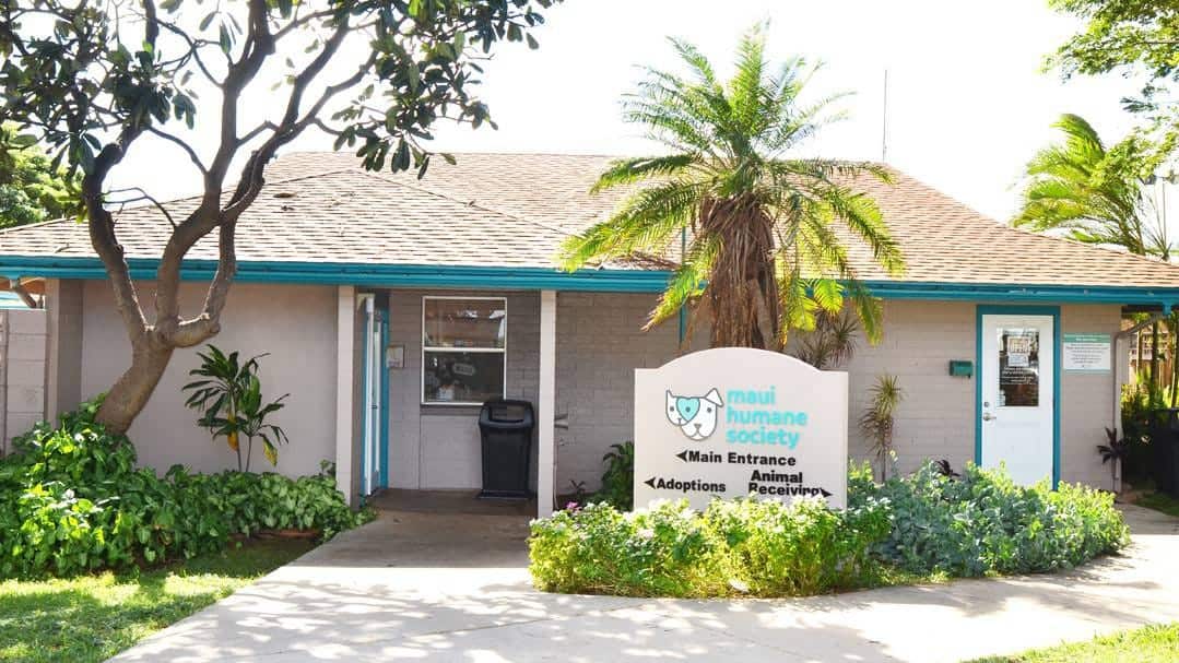 MauiHumaneSociety